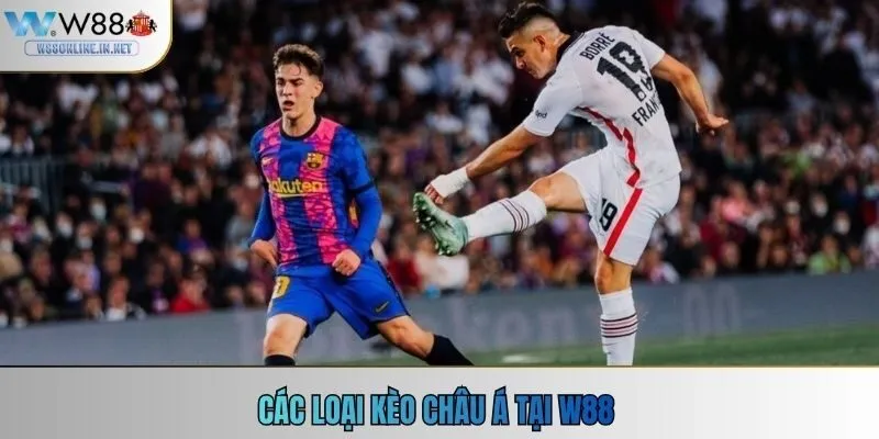 Các loại kèo châu Á tại w88