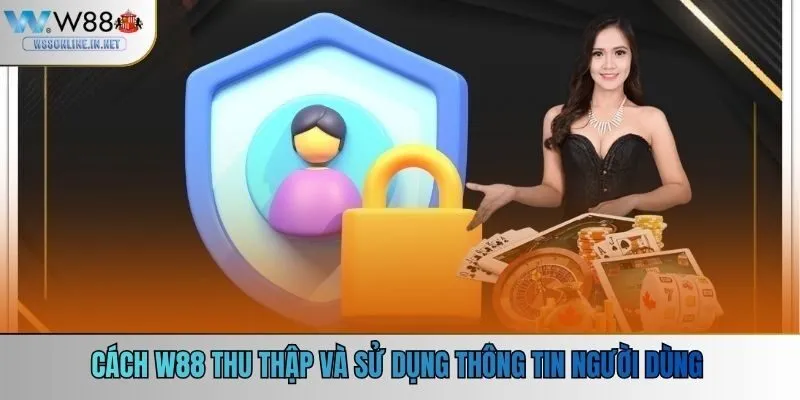 Cách w88 thu thập và sử dụng thông tin người dùng