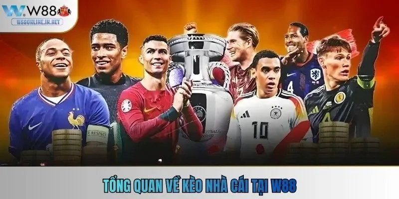 Tổng quan về kèo nhà cái tại W88