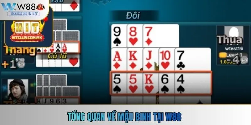 Tổng quan về mậu binh tại W88