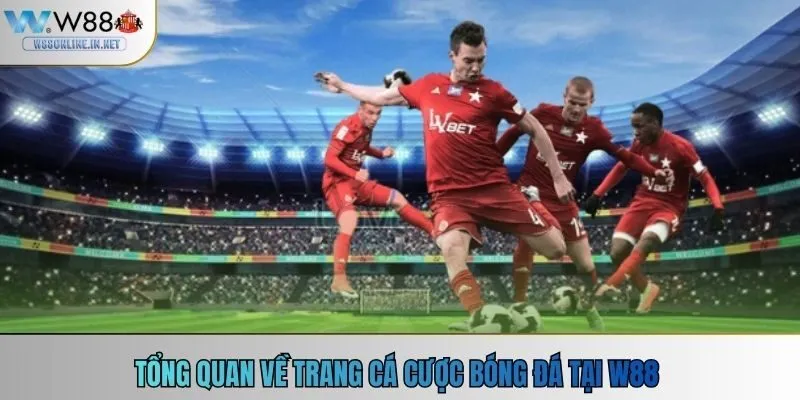 Tổng quan về trang cá cược bóng đá tại W88